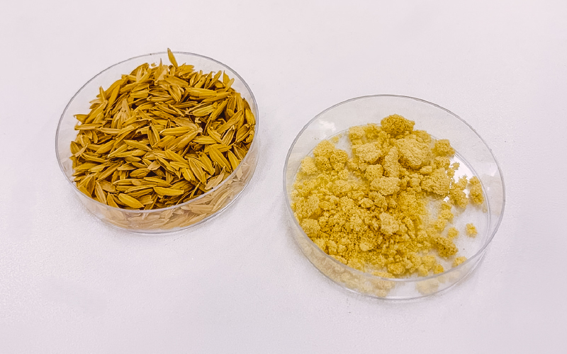 New project turns waste into automotive materials